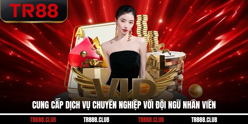 Cung cấp dịch vụ chuyên nghiệp với đội ngũ nhân viên