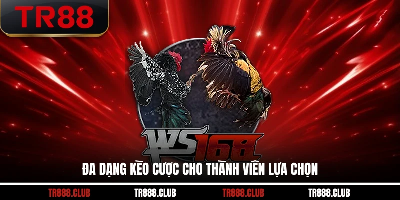 Đa dạng kèo cược cho thành viên lựa chọn