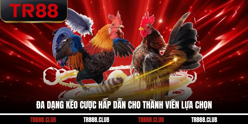 Đa dạng kèo cược hấp dẫn cho thành viên lựa chọn