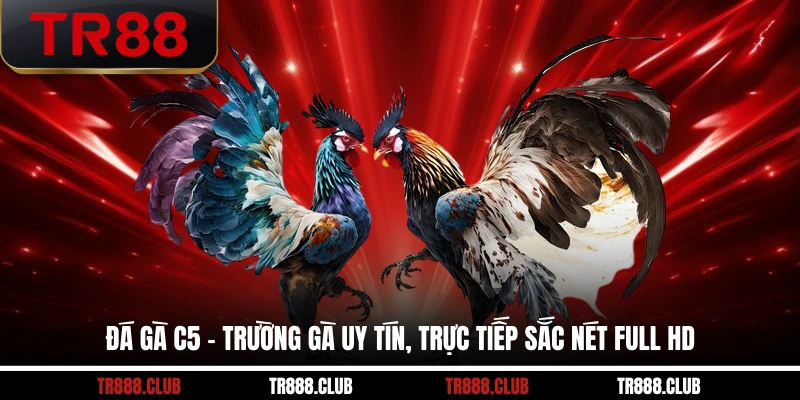 da-ga-c5-truong-ga-uy-tin-truc-tiep-sac-net-full-hd